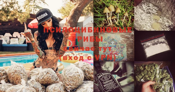 спиды Алексин