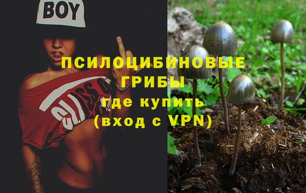 Альфа ПВП Алзамай