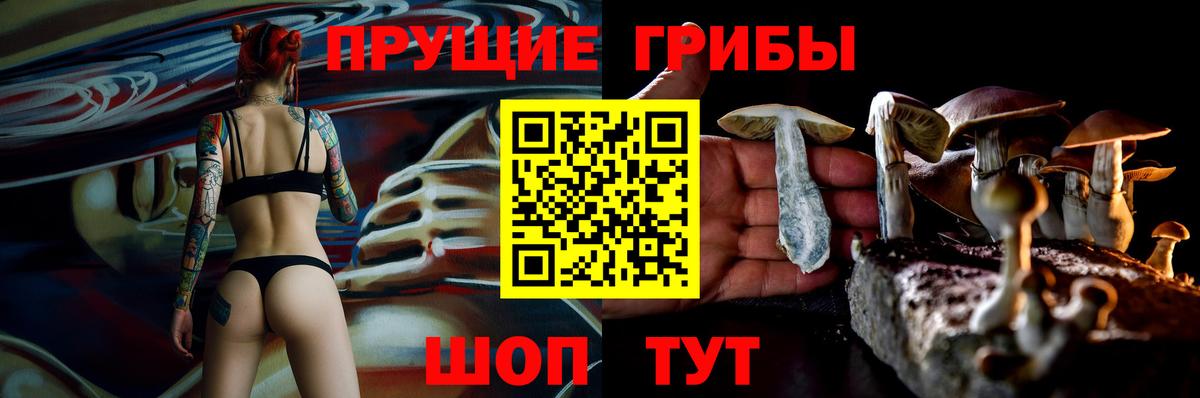 Меф мяу мяу Аргун